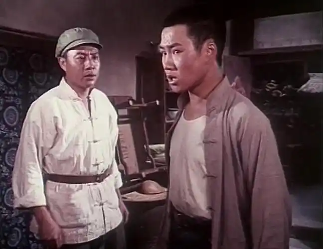 国产老电影青松岭1973_高清在线观看