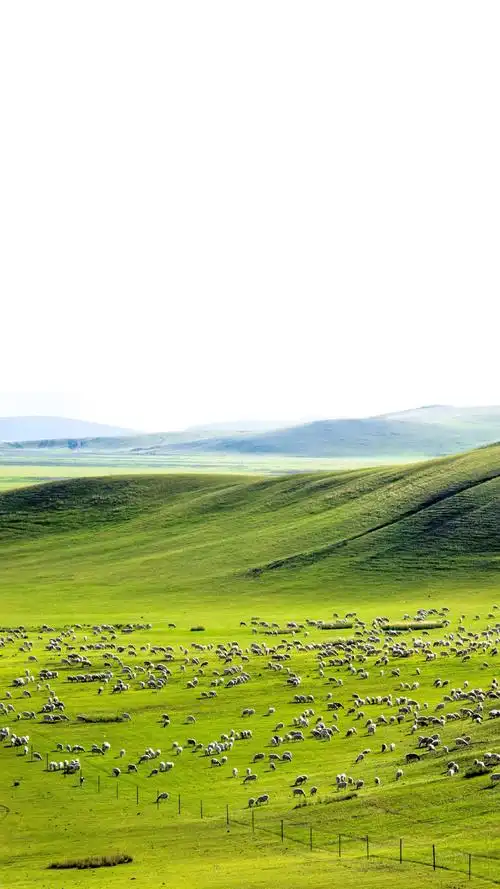 大草原-堆糖,美好生活研究所
