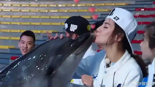 热巴被海豚疯狂亲吻,这也太兴奋了,鹿晗在一旁都看呆了|奔跑吧