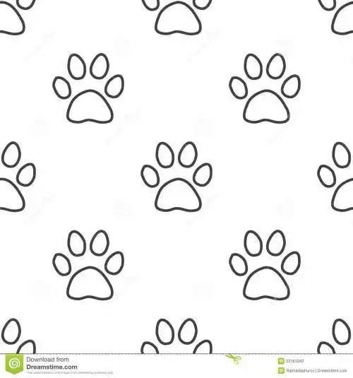 猫咪的爪印简笔画雪豹脚印简笔画黑熊脚印简笔画可爱的小猫爪子简笔画