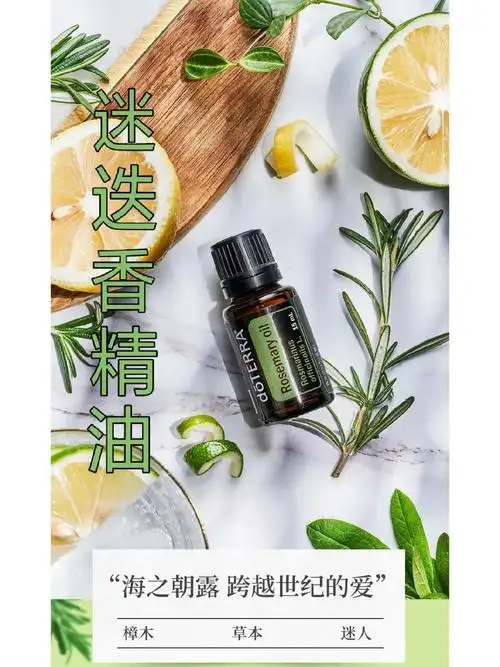 迷迭香海之朝露温暖如初