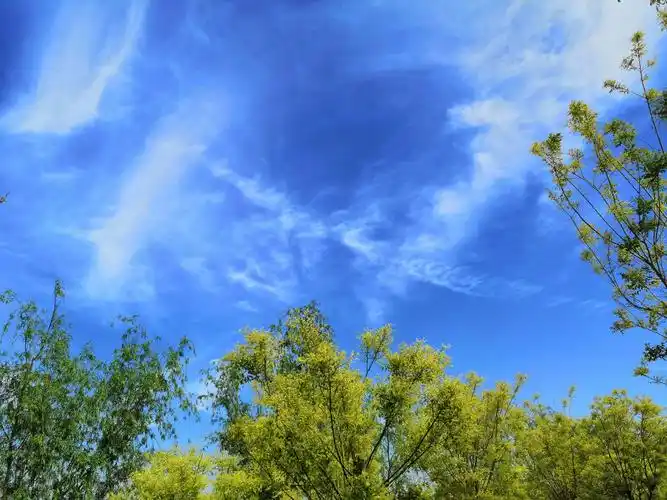 蓝天白云是春天里最美的风景之一