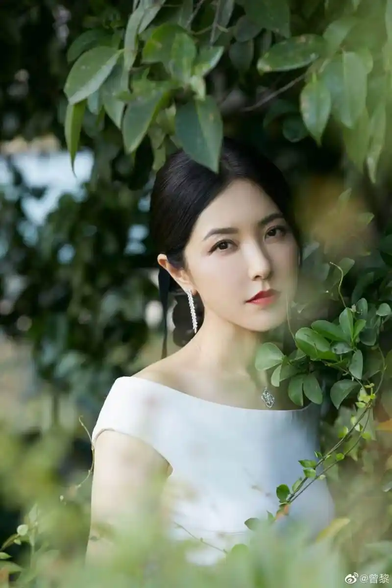 46岁曾黎京剧唱腔惊艳,她曾是中戏校花,情史坎坷