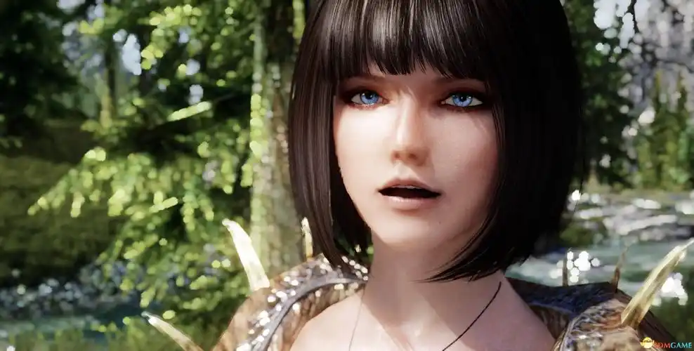 上古卷轴5独立随从mod盾甲少女也很温柔重置版