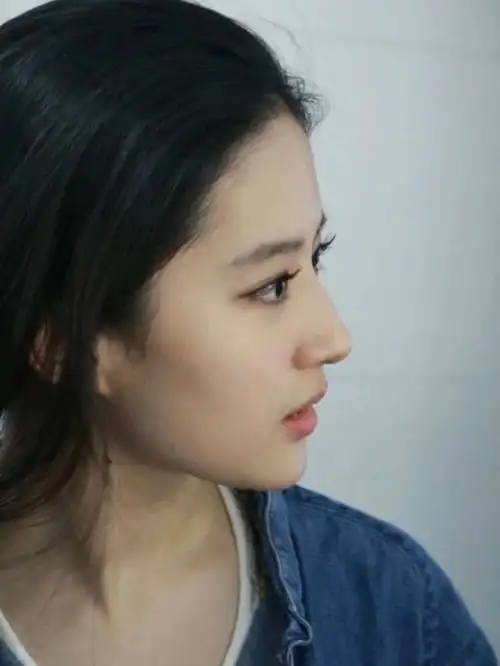 刘亦菲侧颜合集00