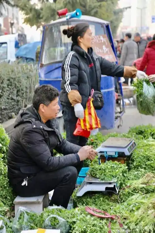 猪年最后一个集市,摊位延绵一公里,洛阳延秋集市众生相