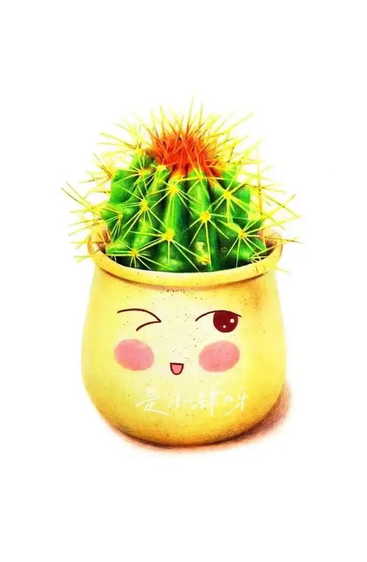 彩铅仙人球盆栽过程图