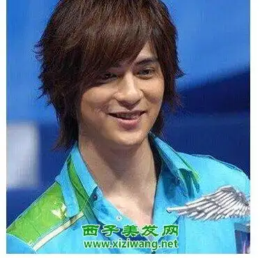 五款男士长发发型图片(3)