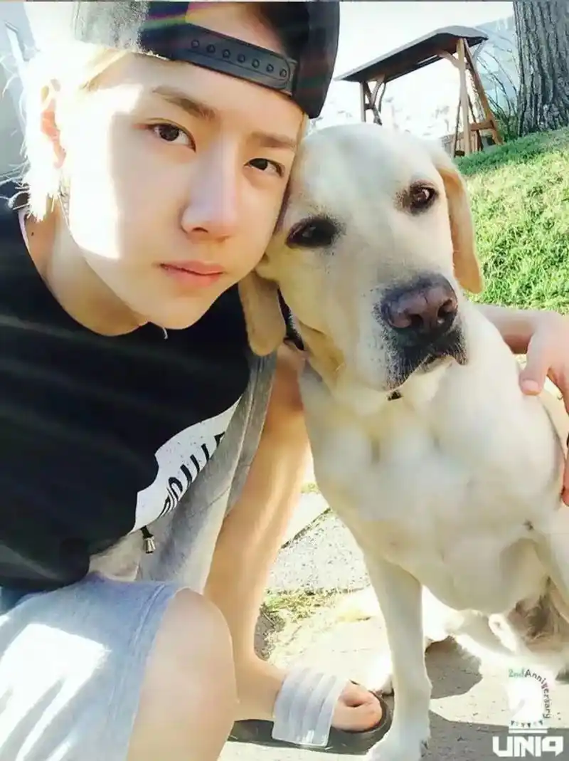 王一博 #王一博早期 #酷盖 #这谁顶得住啊 #不止一点点 - 抖音