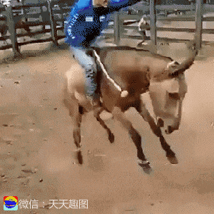 爆笑gif图:别人吻鳖都是说说,就这哥们是来真的!_外甥