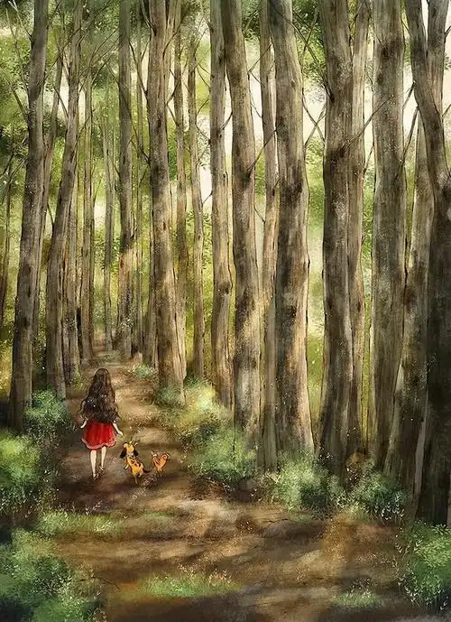 壁纸:治愈系壁纸高清 - 森林女孩日记高清壁纸