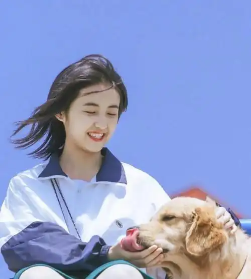 网曝张子枫逼婚欲做贤妻,糊咖男友忙事业,拒绝结婚|姚晨|吴磊|凌潇肃