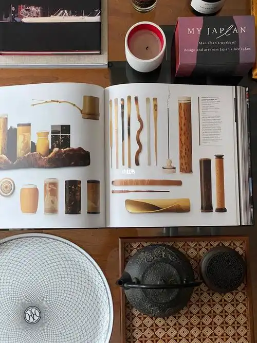 收到一本rizzoli出版陈幼坚的书