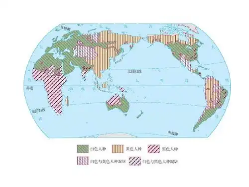 世界人种的分布