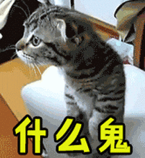 什么鬼gif