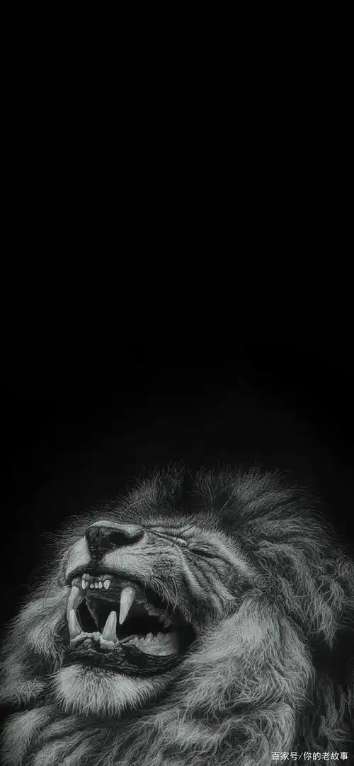 640_1385竖版 竖屏