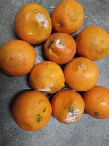 【交流】寺库9.9拼团橙子反馈