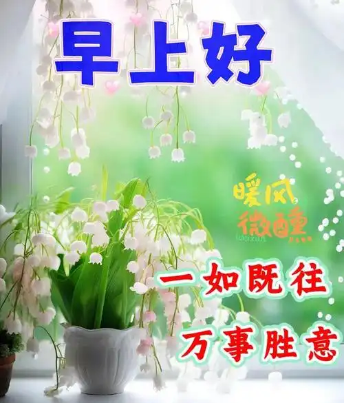 新版早上好问候聊天图片