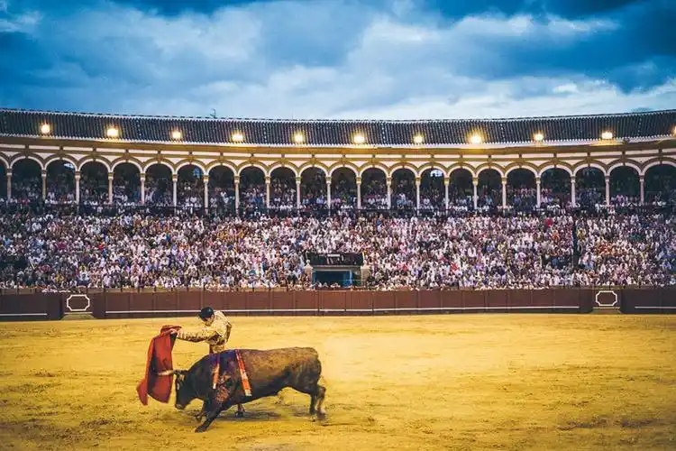 死亡or荣耀西班牙斗牛堪称血腥的冒险