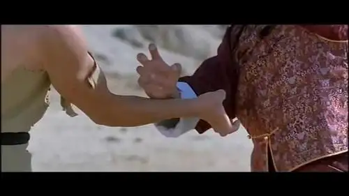 蛇形刁手大结局:简福自创蛇形刁手大战鹰爪擒蛇功!