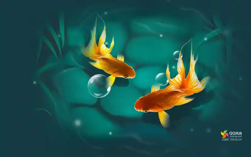 qq风尚壁纸 第十二辑