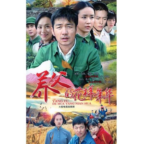 农村情感电视剧 养父的花样年华dvd碟片光盘33集2碟完整版 邢佳栋