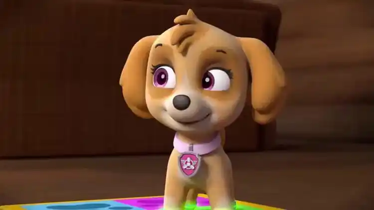 汪汪队立大功 珠珠被天天带着跳的真不错,杰克觉得珠珠好棒哟