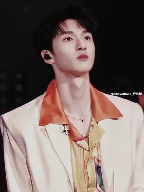 帅的我失语了#时代少年团严浩翔  #严浩翔  #衬衫  #没衬衫怎么型