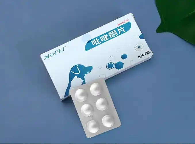 mofei 吡喹酮片狗狗驱虫药大型犬专用金毛拉布拉多宠物体内驱虫药