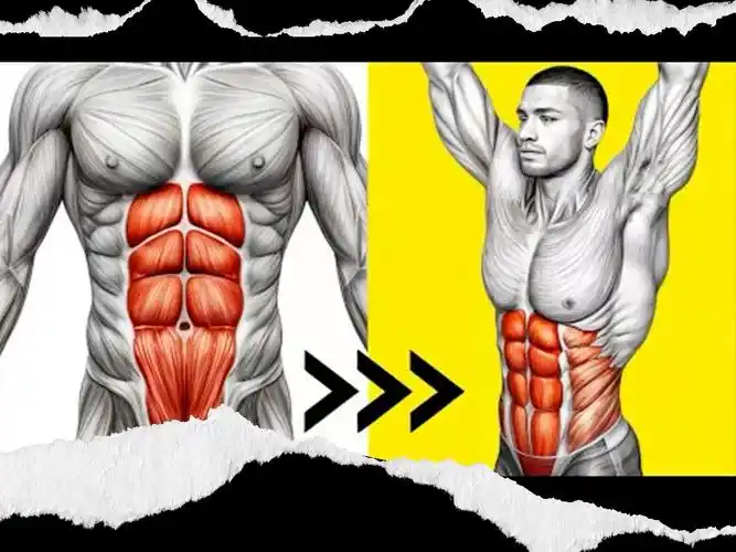 6种不同平板支撑,练出腹肌马甲线