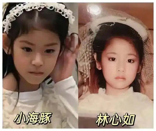 小海豚神奇亮相|美丽基因传承|霍建华林心如女儿震撼登场_照片_未来