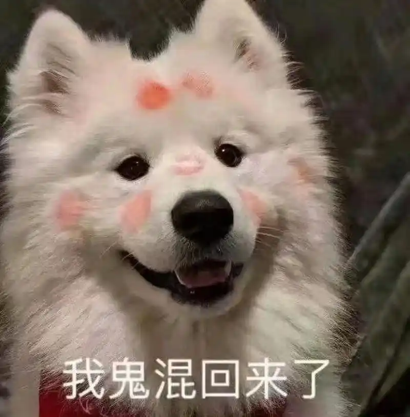 丰富一下你的表情包 #表情包# #搞笑表情包# #可爱表情包# #热门表情