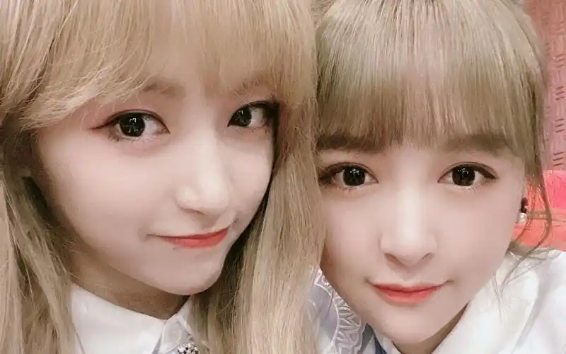 【b格大法好】【张语格x孔肖吟】谎话情歌【b格】婚 礼 进 行 时||想