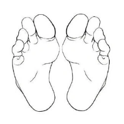 怎么画脚脚部结构透视怎么处理