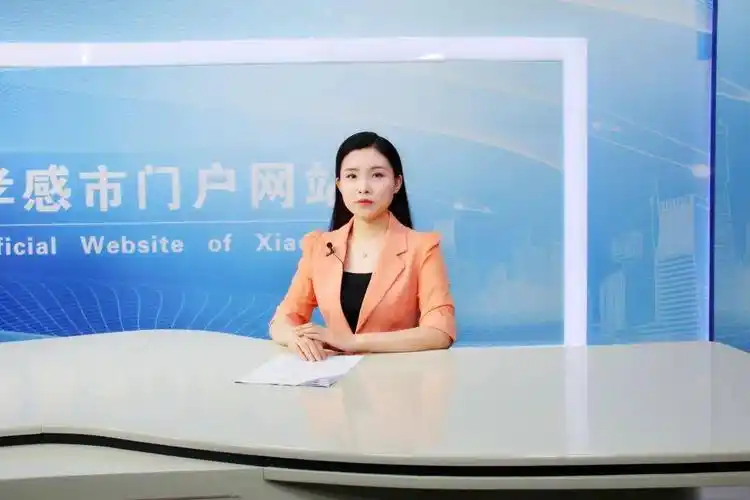 在线访谈市公安局应对疫后综合症全力服务孝感疫情防控和经济社会发展