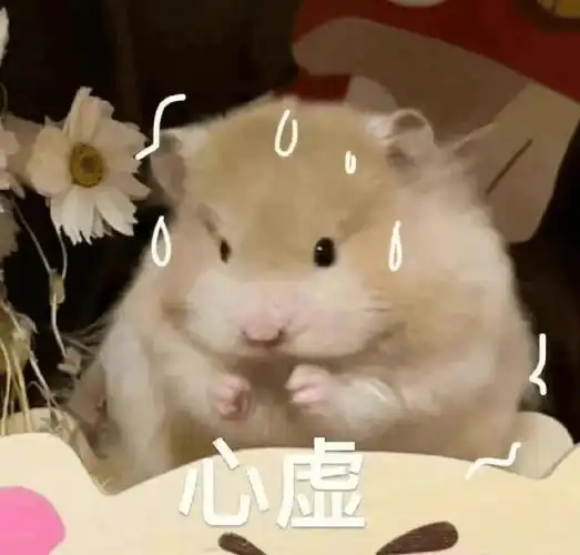 可可爱爱微信动态表情包!