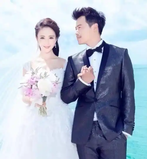 陈思诚连续11年为佟丽娅庆生 这是要复合的节奏?_儿子_因为_婚姻