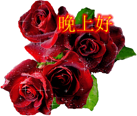 晚上好今天是正月十六祝福美图送给你带去我的问候