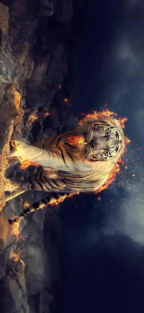 高清壁纸丨超热门抖音壁纸精选