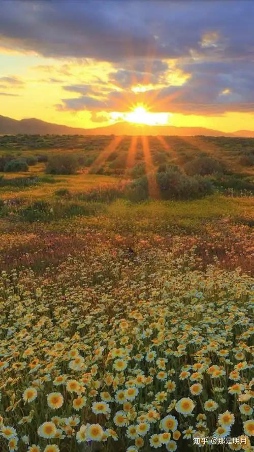 有没有很阳光清新绿色自然让人心情好的风景壁纸
