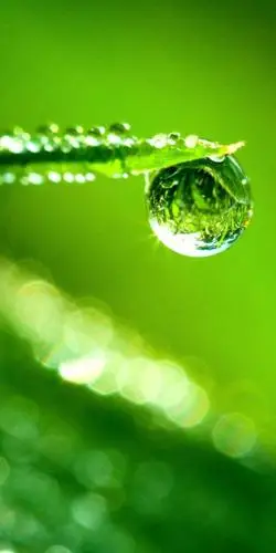 绿色壁纸高清护眼让你的眼睛放松一下