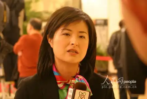 央视记者张泉灵现场采访(图)