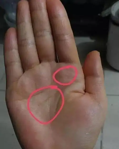 命苦的手相一辈子劳碌也很难发达