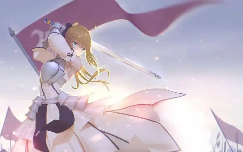 fatestaynight命运守护之夜圣杯战争セイバーsaber吾王图集