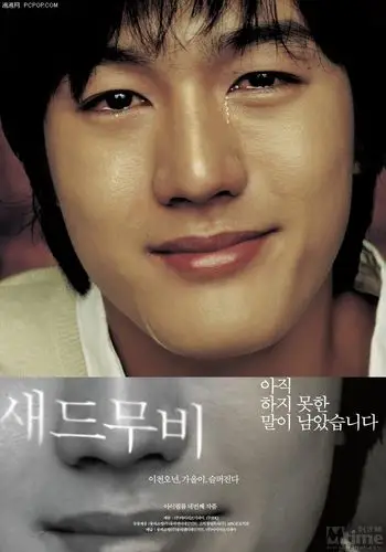 什么是《悲伤电影》?