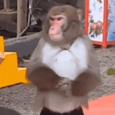 阴阳怪气表情包:闭嘴好吗_晚霞_落日_公众