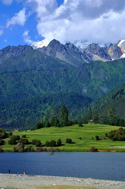 川藏青之行,鲁朗林海赛江南