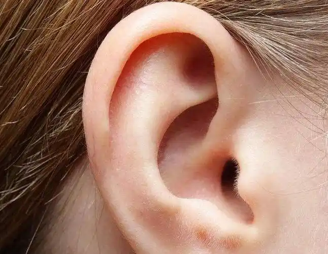 肾好不好耳朵可能未卜先知,喝好"2杯水",男人可能越来越强悍|耳朵|肾