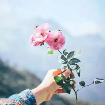 微信头像唯美意境 暮雨醉花_微信头像_我要个性网