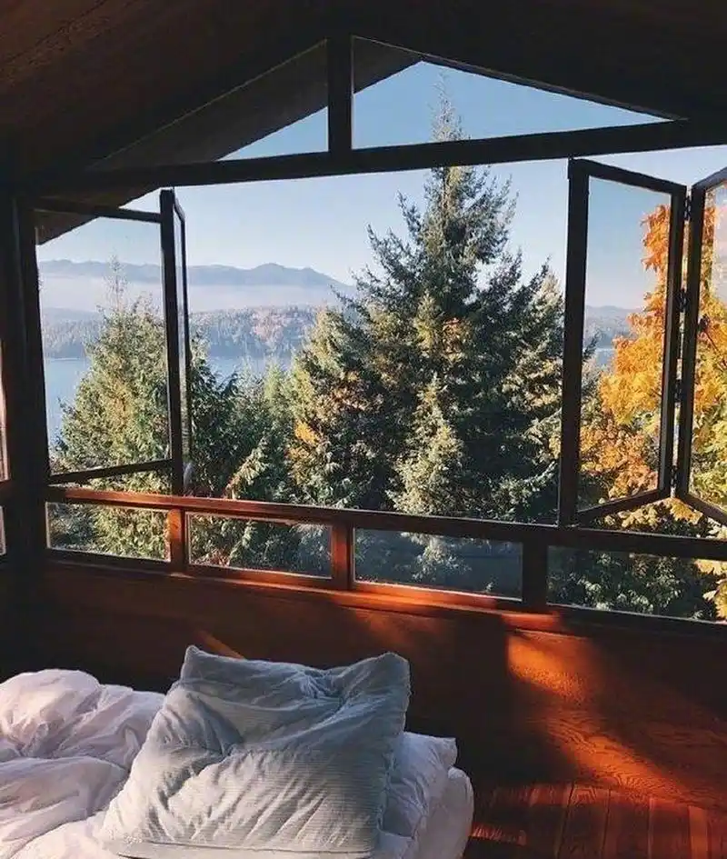 当阳光照进房间,全屋淡淡地,和谐秋色弥漫,即使到了 ,也一样会充满